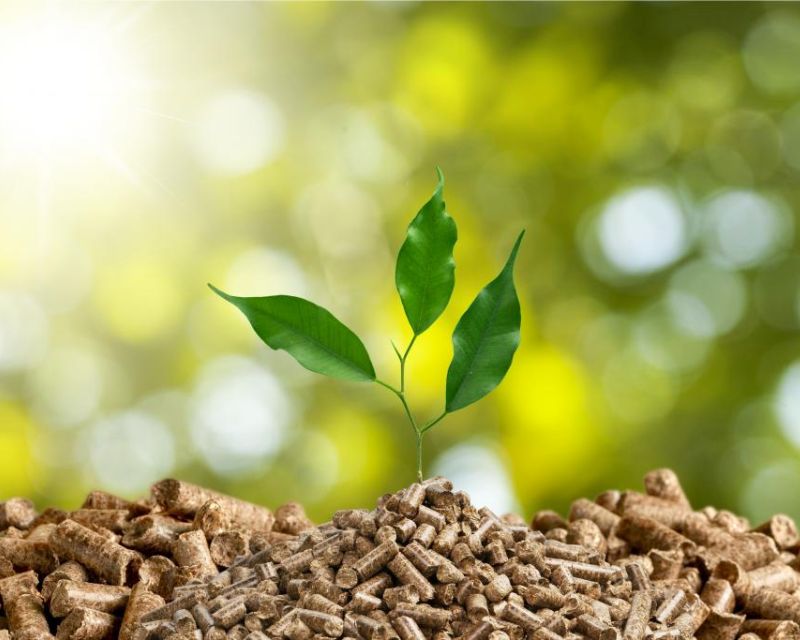 Biomassa Pengertian, Jenis, Manfaat dan Contohnya